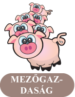 Mezőgazdaság