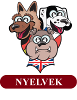 Nyelvek