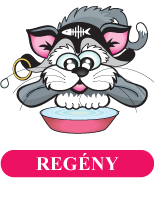 Regény