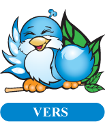 Vers